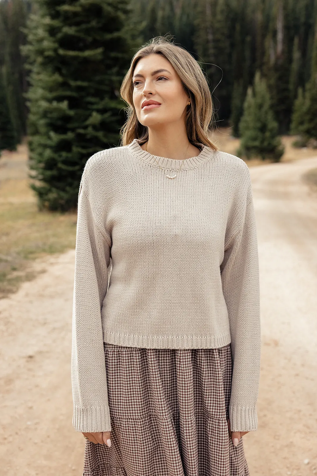 Afternoon Train Cropped Sweater