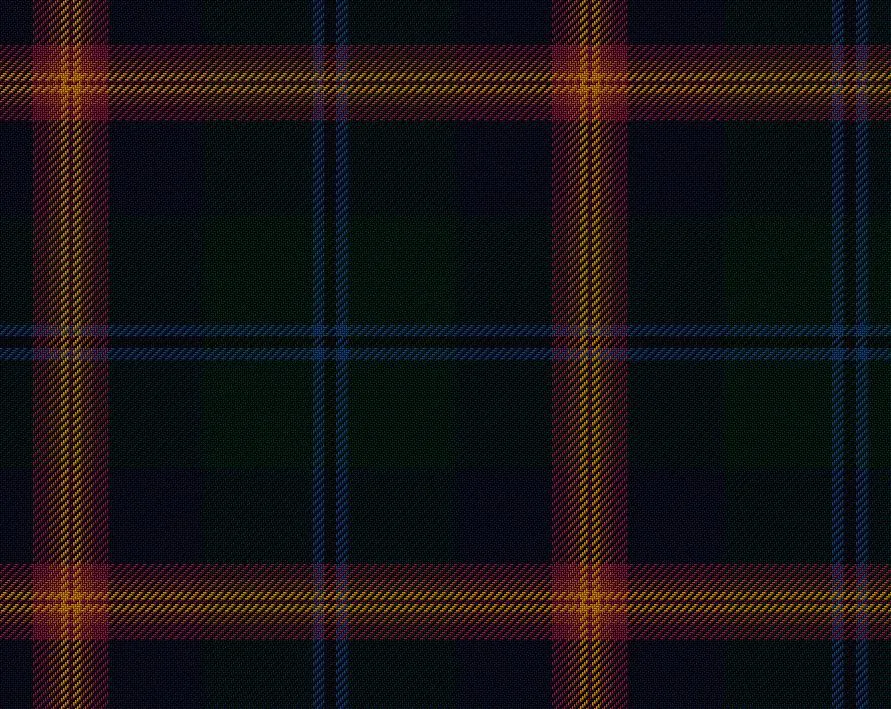 Young Modern Tartan Scarf